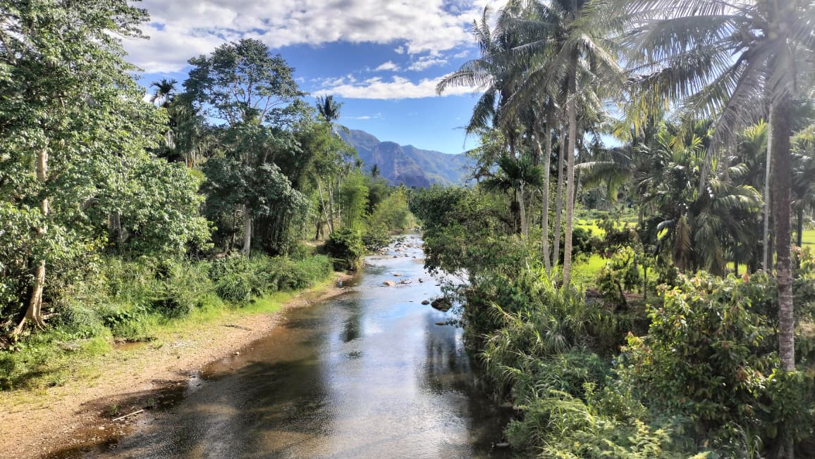 Batang Maek, foto dari Jembatan Batang Maek. Sumber: dokumentasi https://ranahpusako.com